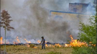Air quality deteriorates every year due to farm fires in Punjab. (PTI/FILE PHOTO) Air quality deteriorates every year due to farm fires in Punjab. (PTI/FILE PHOTO)