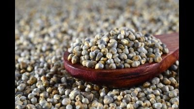 The price of bajra has reduced from  ₹1,550-1,650 per quintal in a week after the Haryana government decided to include the crop in the ‘Bhavantar Bharpayee Yojana’ from this kharif season. (iStock)