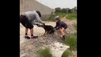 Cyclicts help remove the plastic bottle from the head of the dog. Screengrab