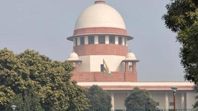 The matter has been registered as a criminal writ petition, pertaining to investigation and prosecution. (HT File Photo) The matter has been registered as a criminal writ petition, pertaining to investigation and prosecution. (HT File Photo)