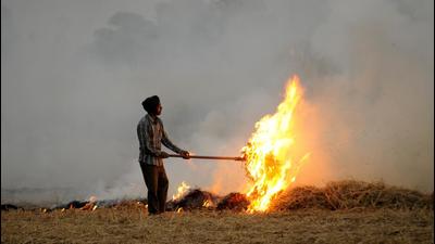 A quick and cheap way to prepare soil bed for the next crop, widespread farm fires reduce the air quality to dangerous levels in and around Punjab. (HT File Photo) A quick and cheap way to prepare soil bed for the next crop, widespread farm fires reduce the air quality to dangerous levels in and around Punjab. (HT File Photo)