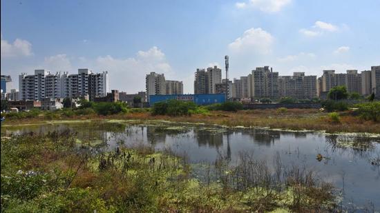 Larvae breeding is a major concern as cases of dengue continue to mount. A pool of water is stagnating on a vacant plot in Sector 37C. (Vipin Kumar /HT PHOTO)