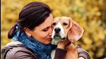 As pets have got used to constant company of their human companions, it is important to ensure the transition is gradual as you step out for work (PHOTOS: Shutterstock (FOR REPRESENTATIONAL PURPOSE ONLY)) As pets have got used to constant company of their human companions, it is important to ensure the transition is gradual as you step out for work (PHOTOS: Shutterstock (FOR REPRESENTATIONAL PURPOSE ONLY))