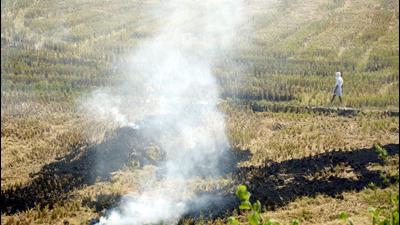 Ghaziabad, India - October 07: A view of stubble burning in the fields of Kallu Garhi near Eastern Freeway, in Ghaziabad, India, on Thursday, October 7, 2021. (Photo by Sakib Ali /Hindustan Times) Ghaziabad, India - October 07: A view of stubble burning in the fields of Kallu Garhi near Eastern Freeway, in Ghaziabad, India, on Thursday, October 7, 2021. (Photo by Sakib Ali /Hindustan Times)