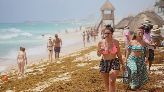 Tourists walk over sand strewn with sargassum at Ballenas Beach in Cancun, Mexico(REUTERS/Paola Chiomante)