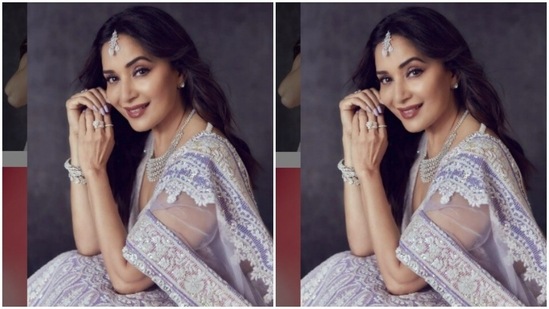 In a V-cut sleeveless blouse of the same fabric, Madhuri posed for the pictures. She teamed it with a long flowy skirt that is heavily embroidered in zari. With a satin dupatta intricately embroidered in white, Madhuri looked right out of a dream.(Instagram/@madhuridixitnene)