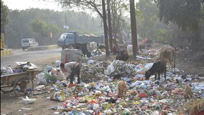 The municipal corporation started dumping solid waste near RNE after the site at Pratap Vihar was shut down. (Sakib Ali/HT Archive) The municipal corporation started dumping solid waste near RNE after the site at Pratap Vihar was shut down. (Sakib Ali/HT Archive)