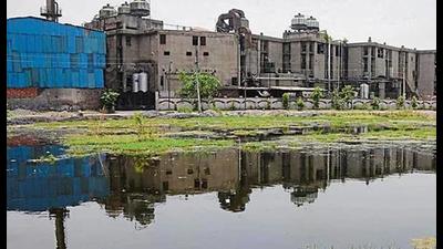 Over four years after the Punjab government, then led by Captain Amarinder Singh, highlighted in its own report how focal points in various parts of the state were in a bad shape, the condition still remains the same. Over four years after the Punjab government, then led by Captain Amarinder Singh, highlighted in its own report how focal points in various parts of the state were in a bad shape, the condition still remains the same.