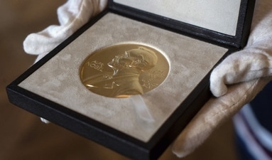 The Nobel Prize Medal (AP Photo)