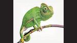 (Shutterstock) (Shutterstock)