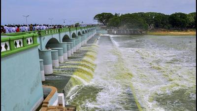 The Tamil Nadu government on Saturday said five committees have been constituted to look into the issue of letting out noxious waste into the Cauvery river and its tributaries (Archive) The Tamil Nadu government on Saturday said five committees have been constituted to look into the issue of letting out noxious waste into the Cauvery river and its tributaries (Archive)