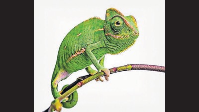 (Shutterstock) (Shutterstock)
