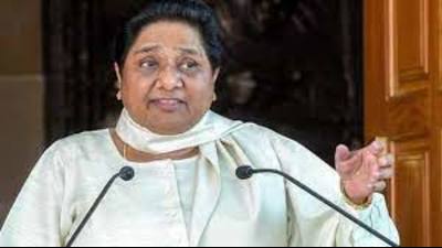 She said she will write to the Election Commission demanding surveys by media organisations and other agencies be banned six months before any election (HT file photo) She said she will write to the Election Commission demanding surveys by media organisations and other agencies be banned six months before any election (HT file photo)