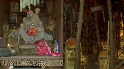 The Barisha Club Durga Puja pandal features a huge cage-like structure, showing a woman carrying an idol of goddess Durga along with her children.&nbsp; (Photo via ANI)
