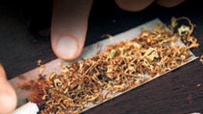 The Anti-Narcotics Squad of the Pimpri-Chinchwad Police Crime Branch has arrested Radha Balu Phadtare (62), a resident of Kalakhadak in Wakad for possession of cannabis (Ganja). (REPRESENTATIVE PHOTO)