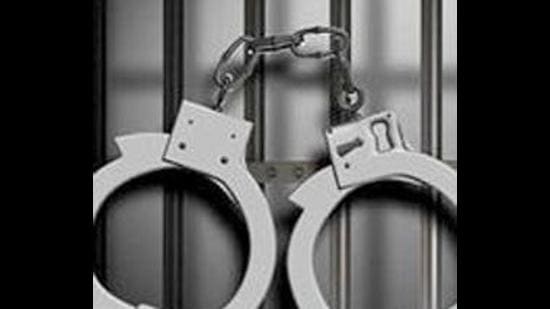 A case under Copyright Act, Cinematography Act and Section 420 of Indian Penal Code has been registered. (Representative image)