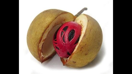 Fresh nutmeg with its mace outer shell embedded within the fruit (Shutterstock)