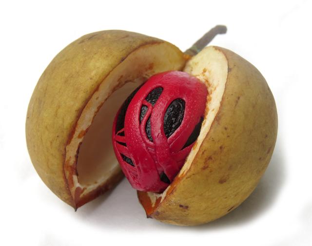 Fresh nutmeg with its mace outer shell embedded within the fruit (Shutterstock)