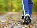 The University of York-led study findings showed that nature-based interventions (NBIs) support people to get involved with ecology in a structured way to enhance mental health. The University of York-led study findings showed that nature-based interventions (NBIs) support people to get involved with ecology in a structured way to enhance mental health.