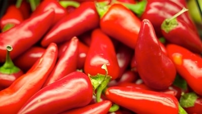 Chilli Peppers (For Representation Only) Chilli Peppers (For Representation Only)