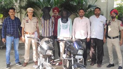 The snatching and vehicle lifting accused in Ludhiana police custody on Sunday. (HT PHOTO)