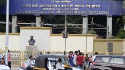 Pune’s Rajiv Gandhi Zoological Park and Wildlife Research Centre is considering updating their ticketing system and preparing for the day Maharashtra announces reopening of its zoos. (HT FILE) Pune’s Rajiv Gandhi Zoological Park and Wildlife Research Centre is considering updating their ticketing system and preparing for the day Maharashtra announces reopening of its zoos. (HT FILE)