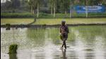 The Bihar Cabinet has approved farm compensation worth <span class='webrupee'>₹</span>550 crore to be paid to the affected farmers as agriculture input subsidy. (Bloomberg) The Bihar Cabinet has approved farm compensation worth <span class='webrupee'>₹</span>550 crore to be paid to the affected farmers as agriculture input subsidy. (Bloomberg)