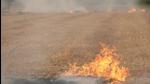 NASA data shows that farm fires were spotted in Punjab around September 15, with around 10-15 showing up on satellite data. The numbers started picking up around September 27, when the count reached 40. (Representative image/HT Archive) NASA data shows that farm fires were spotted in Punjab around September 15, with around 10-15 showing up on satellite data. The numbers started picking up around September 27, when the count reached 40. (Representative image/HT Archive)