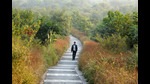 India’s sixth national report (in 2018) claimed that the country is on track to achieve its biodiversity targets. But several experts have pointed out that large-scale diversion of forest land for development and national security purposes will have a deep impact. (Parveen Kumar/Hindustan Times) India’s sixth national report (in 2018) claimed that the country is on track to achieve its biodiversity targets. But several experts have pointed out that large-scale diversion of forest land for development and national security purposes will have a deep impact. (Parveen Kumar/Hindustan Times)