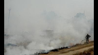Between September 15 and October 10, Punjab has recorded 764 incidents of crop residue burning in 2021 compared to 2,586 in the corresponding period last year. Between September 15 and October 10, Punjab has recorded 764 incidents of crop residue burning in 2021 compared to 2,586 in the corresponding period last year.