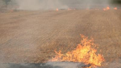 NASA data shows that farm fires were spotted in Punjab around September 15, with around 10-15 showing up on satellite data. The numbers started picking up around September 27, when the count reached 40. (Representative image/HT Archive) NASA data shows that farm fires were spotted in Punjab around September 15, with around 10-15 showing up on satellite data. The numbers started picking up around September 27, when the count reached 40. (Representative image/HT Archive)