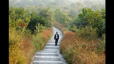 India’s sixth national report (in 2018) claimed that the country is on track to achieve its biodiversity targets. But several experts have pointed out that large-scale diversion of forest land for development and national security purposes will have a deep impact. (Parveen Kumar/Hindustan Times)