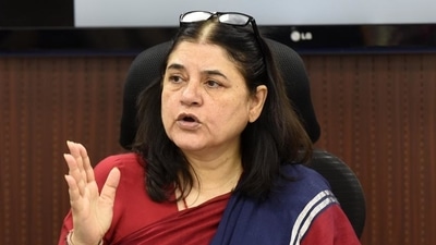 BJP MP Maneka Gandhi. (HT Photo) BJP MP Maneka Gandhi. (HT Photo)