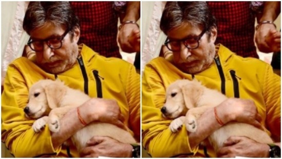 Big B looks like the human version of sunshine in the picture. The snippet is from one of the sets of his films where he dressed up in a bright yellow sweatshirt and played with a puppy. The sweatshirt, lined with black at the borders, makes him look just too cool.(Instagram/@amitabhbachchan)