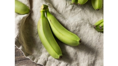 Matti Banana: The matti bananas from Kanyakumari, Tamil Nadu, are not only sweeter than the regular fruit, they are prized for their medicinal properties. Children are weaned off milk using the mashed banana, those convalescing are made to eat it for a dose of strength, and many local communities believe it is an essential part of the diet of anyone recovering from jaundice. Several organic growers have been cultivating the matti banana, delivering it across India. (Kumari Organics)