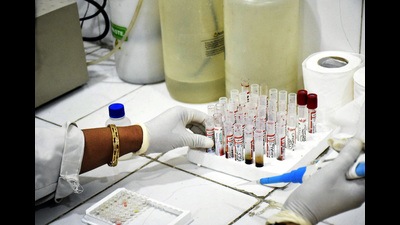 Till Tuesday evening, Ghaziabad had a total of 533 dengue cases. (HT Archive) Till Tuesday evening, Ghaziabad had a total of 533 dengue cases. (HT Archive)
