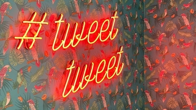 The Twitter thread may leave you smiling (representational image). (Unsplash) The Twitter thread may leave you smiling (representational image). (Unsplash)
