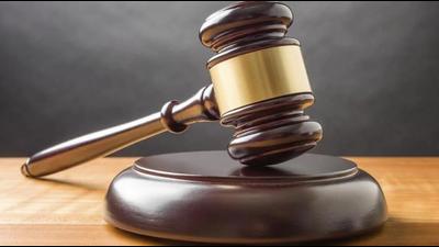 The Chandigarh forest department had claimed that the high court had stayed the cutting and lifting of khair wood in 16,400 bighas 18 biswas in Mirzapur, but they had removed 375 logs loaded in seven trolleys and one pick-up truck on April 4 night without seeking approval. (HT FILE PHOTO)