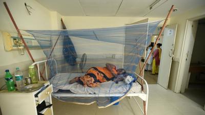The health department is closely monitoring the dengue situation in the district, said Dr Sunil Kumar Sharma, chief medical officer (CMO), Gautam Budh Nagar, on Tuesday. (Sunil Ghosh/HT) The health department is closely monitoring the dengue situation in the district, said Dr Sunil Kumar Sharma, chief medical officer (CMO), Gautam Budh Nagar, on Tuesday. (Sunil Ghosh/HT)