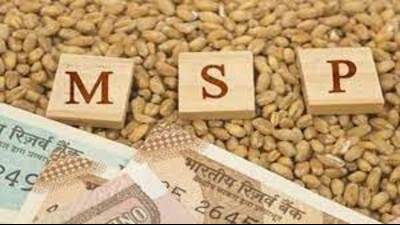 Though the producer did not dispute the low price, the fact remains that had bajra been purchased by government agencies at MSP, all lots would have been purchased at the same price, irrespective of differences in quality, the officer wrote. (IStock) Though the producer did not dispute the low price, the fact remains that had bajra been purchased by government agencies at MSP, all lots would have been purchased at the same price, irrespective of differences in quality, the officer wrote. (IStock)