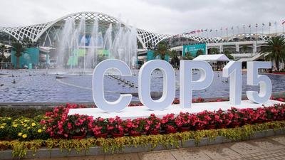 The venue of the UN Biodiversity Conference (COP 15) is seen in Kunming, in China's southwestern Yunnan province on October 11, 2021. Chinese President Xi Jinping made key pledges at the summit. (AFP) The venue of the UN Biodiversity Conference (COP 15) is seen in Kunming, in China's southwestern Yunnan province on October 11, 2021. Chinese President Xi Jinping made key pledges at the summit. (AFP)