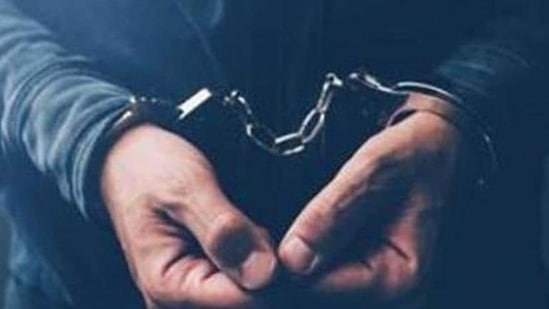 Police identified the two alleged criminals as Suraj Malik, 18, and Rashid Alam, 19, both residents of Bawana.