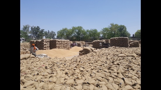 In Amloh sub-division of Fatehgarh Sahib district, the Punjab food and civil supplies department barred 13 commission agents from the procurement process after they allowed purchase of paddy with a moisture content over permissible limit.