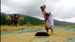 Eight districts of central Maharashtra, many districts in Vidarbha and north Maharashtra suffered heavy losses of lives, livestock and the crops in last week of September. Eight districts of central Maharashtra, many districts in Vidarbha and north Maharashtra suffered heavy losses of lives, livestock and the crops in last week of September.