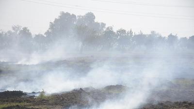 HT, during a spot visit, found crop residue burning in a field at Nahal in Dasna near the Delhi Meerut Expressway on Wednesday. (Sakib Ali/HT Photo) HT, during a spot visit, found crop residue burning in a field at Nahal in Dasna near the Delhi Meerut Expressway on Wednesday. (Sakib Ali/HT Photo)