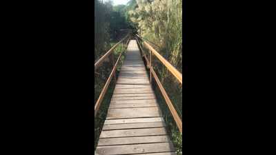The birders had been demanding for a new bridge for the past several months. (Sourced) The birders had been demanding for a new bridge for the past several months. (Sourced)