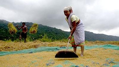Eight districts of central Maharashtra, many districts in Vidarbha and north Maharashtra suffered heavy losses of lives, livestock and the crops in last week of September.
