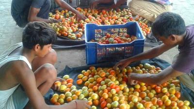 Traders blamed the unseasonal rainfall in large parts of Maharashtra and Madhya Pradesh for the price rise. (HT Archive) Traders blamed the unseasonal rainfall in large parts of Maharashtra and Madhya Pradesh for the price rise. (HT Archive)