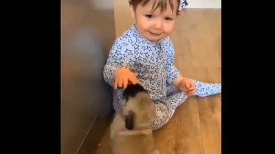 The baby and the two puppies fondly play with each other. Screengrab