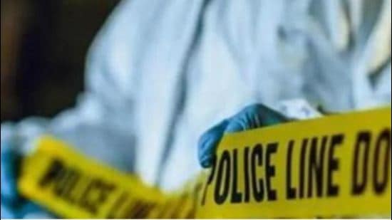 The seller has been arrested and a case has been registered under IPC sections 286 (negligent conduct with respect to explosive substance), 188 (disobedience to order duly promulgated by public servant) and sections of Explosive Act at the Sadar Bazar police station. (Picture for representation only)